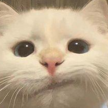 Jinglitools Jinglitools